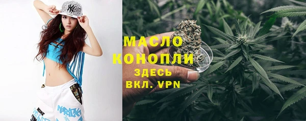 шишки Слюдянка