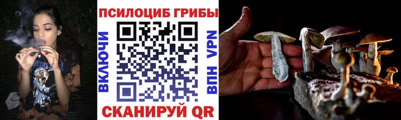 наркота  Белово  Псилоцибиновые грибы Psilocybine cubensis 